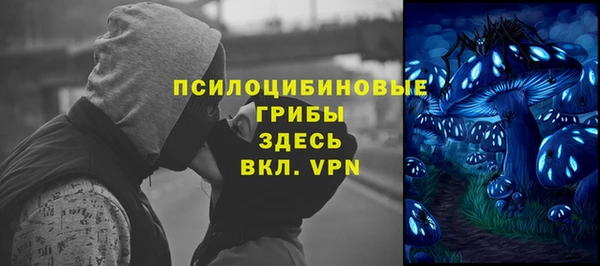 прущие крисы Алексеевка