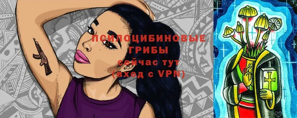 соль курить ск Алзамай