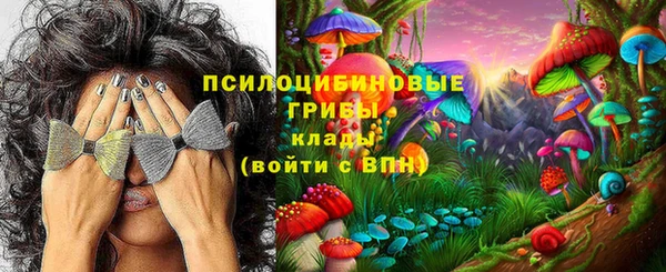 прущие крисы Алексеевка