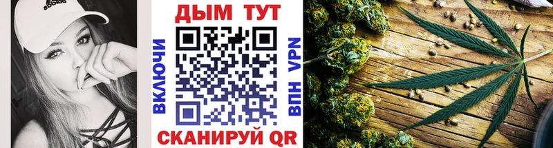 закладка  Сенгилей  Марихуана индика 